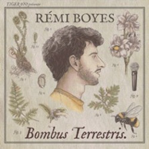 Rémi Boyes - Bombus Terrestris - Tournée
